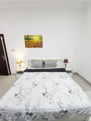 صورة Furnished Studio 383